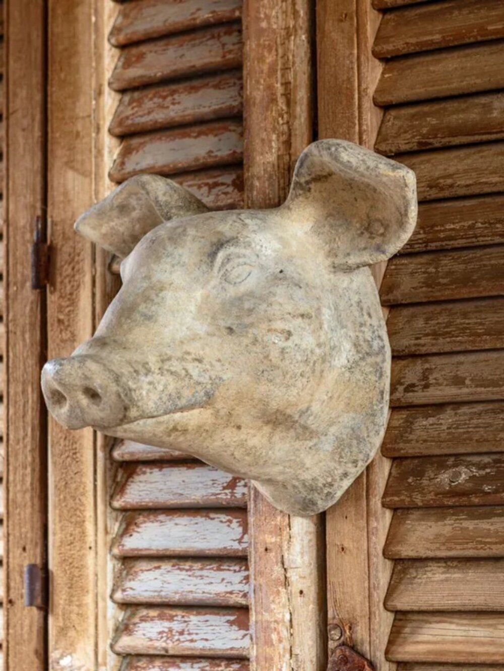 Decorative Weathered Pig's Head NEW